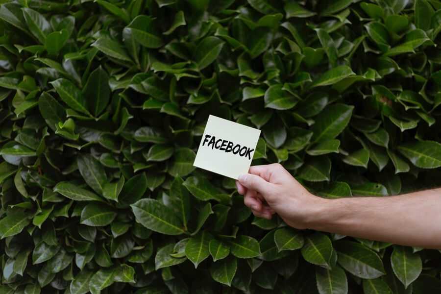 7 Steps to See Recently Added Friends on Facebook on Android
