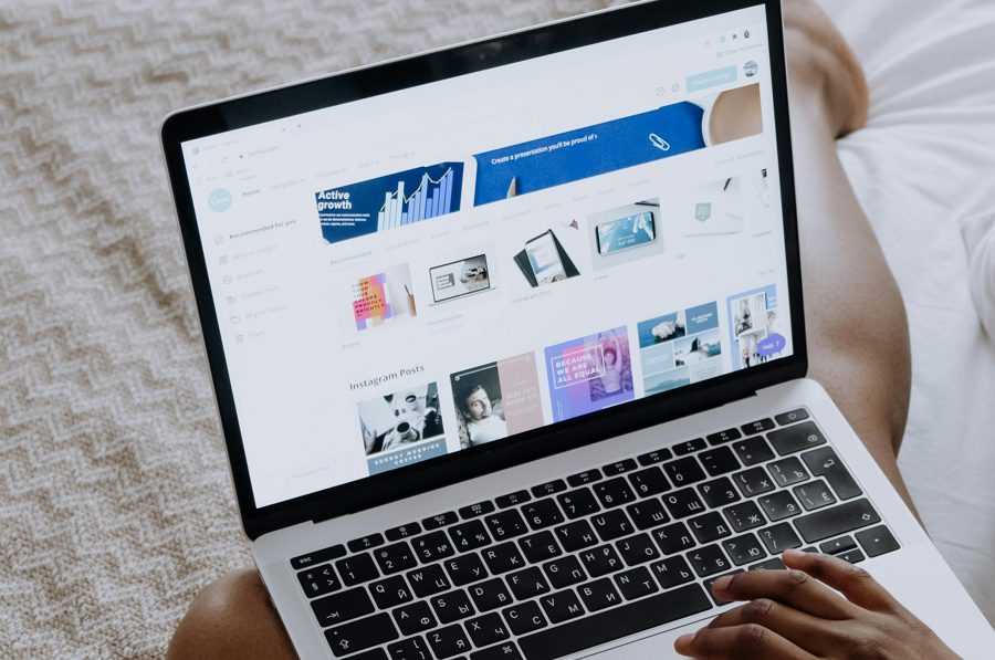 8 Steps to Search for Free Elements in Canva