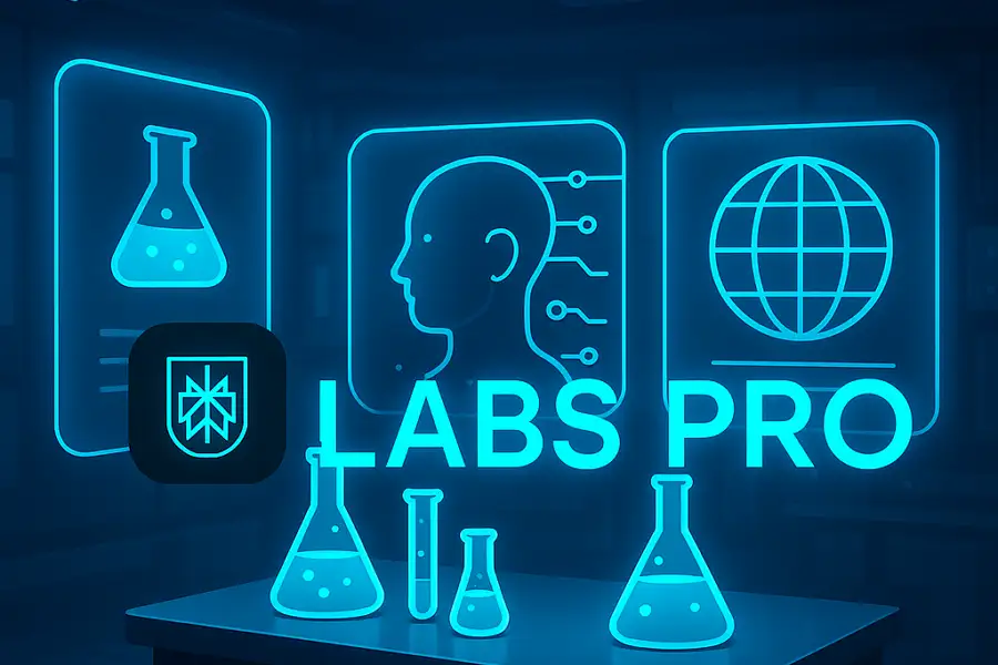 10 Steps to Use Perplexity Labs in the Perplexity App