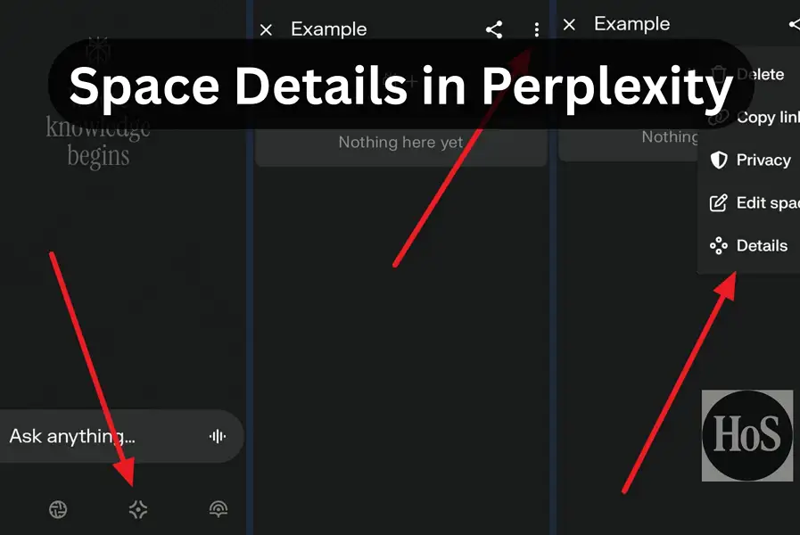 6 Steps to View Space Details in the Perplexity App